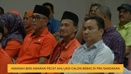 Amanah beri amaran pecat ahli jadi calon Bebas di PRK Sandakan