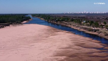 Реки загрязнены лекарствами