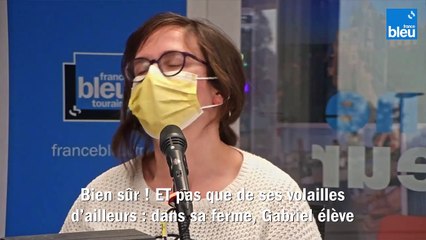 Circuits courts - Des poules et des vignes