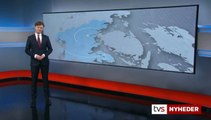 Sjælden hvalart svømmet ind i Kolding fjord | Næbhval | 2-2 | 25-01-2022 | TV SYD @ TV2 Danmark
