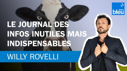 Le journal des infos inutiles mais indispensables - Le billet de Willy Rovelli
