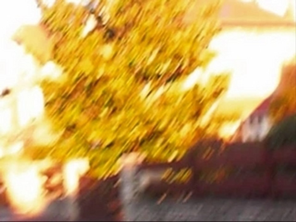 Journée avec mes Choupinettes