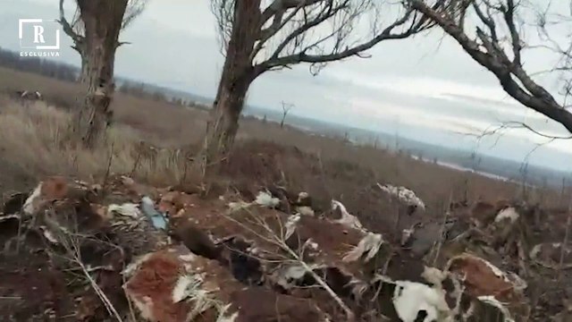 Crisi Ucraina, il nostro inviato in trincea nel Donbass sotto le bombe