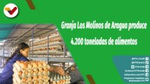 Cultivando Patria |‌ Granja Los Molinos en Aragua tiene capacidad de 4.200 toneladas de alimentos