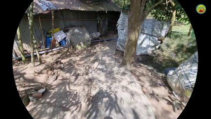 Cặp vợ chồng già khổ nhất trần gian và câu chuyện anh em thua cả người dưng