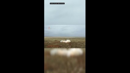 RUSSIA UJI COBA RUDAL HIPERSONIK