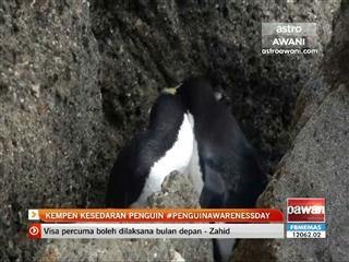 Kempen kesedaran penguin #penguinawarenessday
