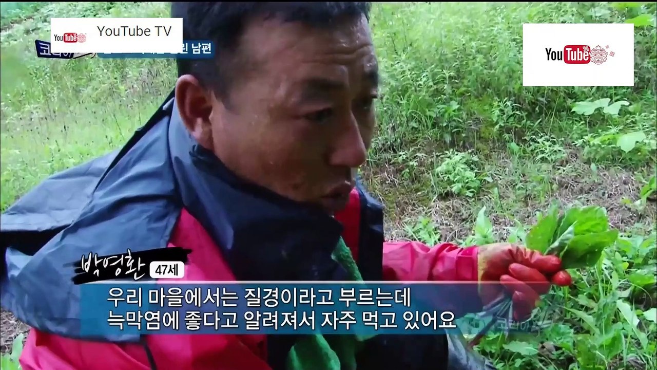 ความลับแห่งเอเชีย ชุด Korea Hunter ตอน ตามหาสมุนไพรเพื่อรักษาคนที่รัก