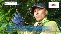 ความลับแห่งเอเชีย ชุด Korea Hunter ตอน น้ำหมักผึ้งอายุยืน