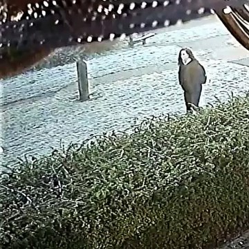 Thames Valley Police - Today (15/2) marks the third anniversary of the disappearance of Leah Croucher in Milton Keynes, and we are renewing our appeal to the public to help to locate her