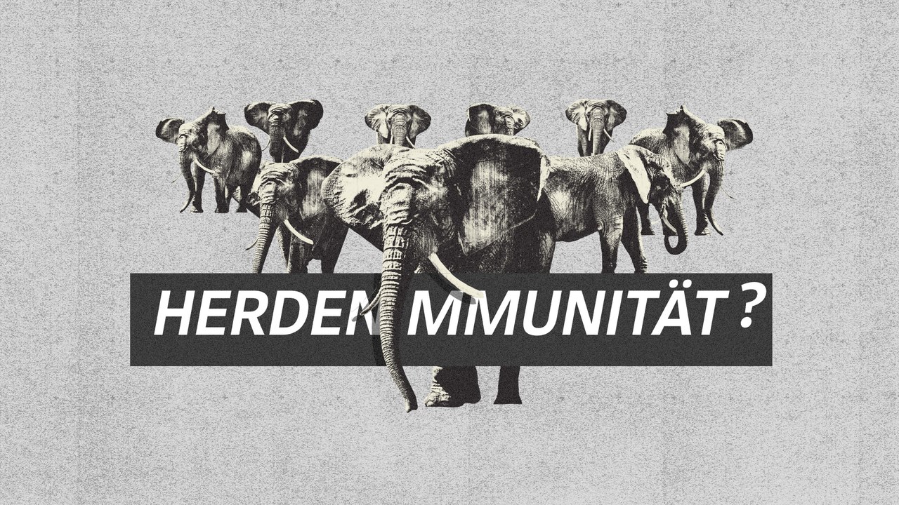 Was wurde eigentlich aus der verheißungsvollen Herdenimmunität?