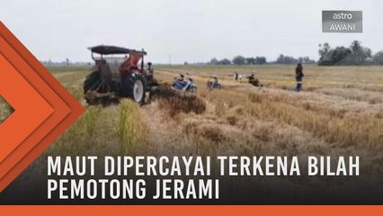 Seorang pemuda maut dipercayai terkena bilah pemotong jerami