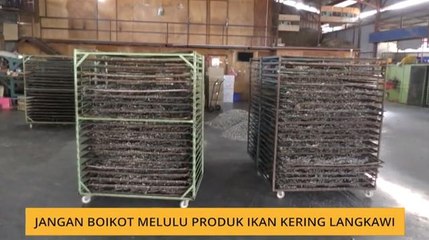 Jangan boikot melulu produk ikan kering Langkawi