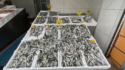 Hamsi ve istavritin kilogramı 25 liradan satılıyor