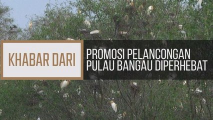 Khabar Dari Perak: Promosi pelancongan Pulau Bangau diperhebat