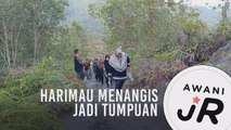 #AWANIJr: Harimau Menangis jadi tumpuan