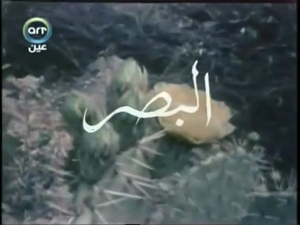 الدكتور مصطفي محمود العلم والايمان.....البصر