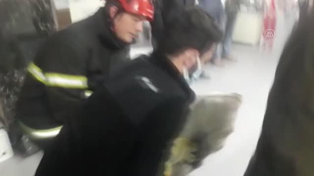İş yerine giren porsuk itfaiye ekiplerince yakalandı