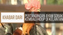 Khabar Dari Kelantan: Pertandingan ayam sorak kembali hidup di Kelantan
