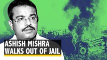 Lakhimpur Kheri Case: BJP Minister's Son Ashish Mishra Released on Bail