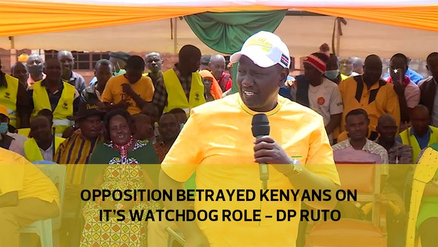 Opposition betrayed Kenyans on it's watchdog role - DP Ruto