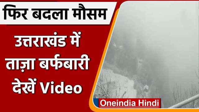 Uttarakhand Snowfall: Uttarakhand के Chamoli में ताजा बर्फबारी | #Shorts | वनइंडिया हिंदी