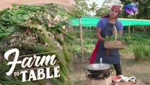 Farm To Table: Chef JR Royol’s Choy Sum and Kailan in Garlic Oyster Sauce recipe