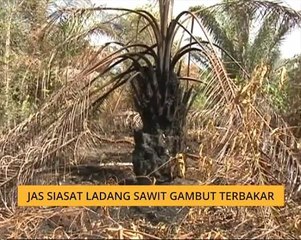 JAS siasat ladang sawit gambut terbakar