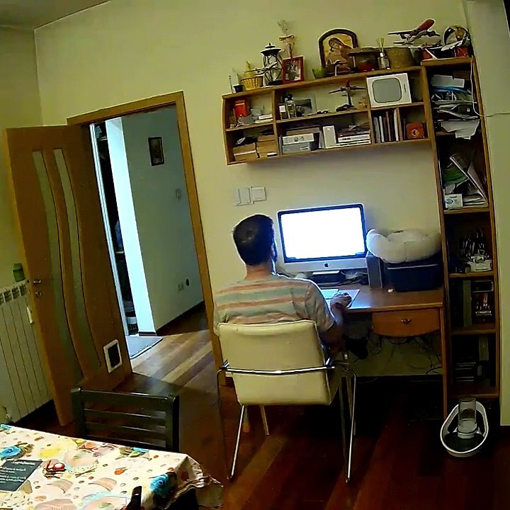 Cat Falls Out of Bed While Dreaming