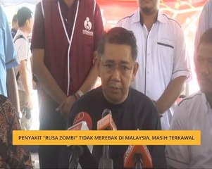 Penyakit "rusa zombi" tidak merebak di Malaysia, masih terkawal