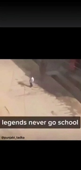 FUNNY VIDEO