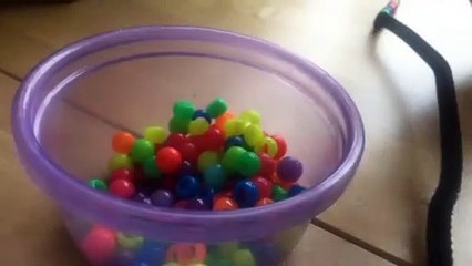 This Colorful Butterfly Magnet Activity Will Keep Your Kids Entertained For Hours