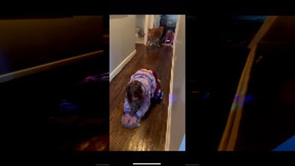 Hoverboards and Cleaner Floors