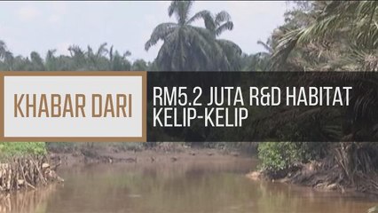 Khabar Dari Perak: RM5.2 juta R&D habitat kelip-kelip