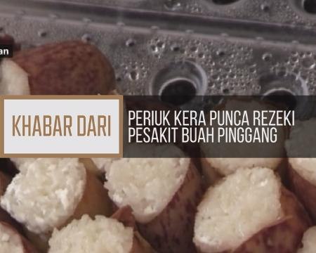 Khabar Dari Pahang: Periuk kera punca rezeki pesakit buah pinggang