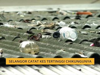 Selangor catat kes tertinggi Chikungunya