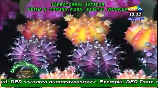 Elisabeta Turcu - Sarbatoarea satului in comuna Vidra, judetul Vrancea (Inedit TV - 16.07.2015)