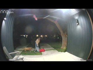 Man Backs Up and Biffs It on the Stairs