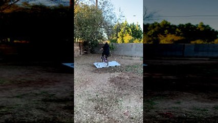 Woman Fails to Ride Up Makeshift Bike Ramp