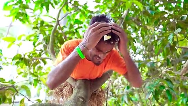 Latest WhatsApp video 2022 New Funny Video 2022 Top New Comedy Video 2022 Try To Not Laugh Indian Funny Videos most viral funny whatsapp videos 12