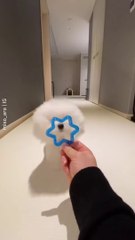 Cute Dogs Compilation - Funny Dog - Cute Puppy