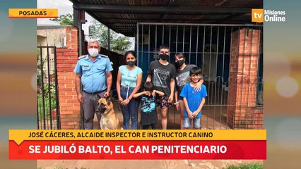 Se jubiló Balto, el can penitenciario
