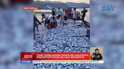 Tone-toneladang nahuling Moonfish, pinagpiyestahan sa Tibiao, Antique | UB