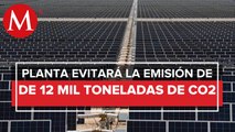 Planta fotovoltaica en Central de Abasto de CdMx comenzará a operar en diciembre