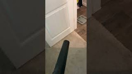 Husband Uses Leaf Blower to Surprise Wife Brushing Teeth