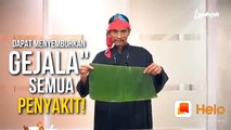 Manfaat daun pisang untuk kesehatan