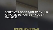 Serpent dans un avion : Appareil retiré en vol en Malaisie