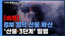 [속보] 경북 영덕 산불 강풍에 확산...'산불 3단계' 첫 발령 / YTN