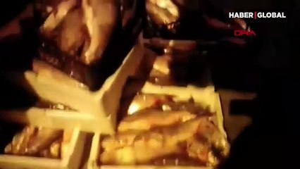 Arnavutköy Terkos Gölü'nde kaçak avlanan 400 kg Akbalığa el konuldu