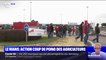 Mobilisation des agriculteurs au Mans pour réclamer une hausse du prix d'achat auprès de la grande distribution